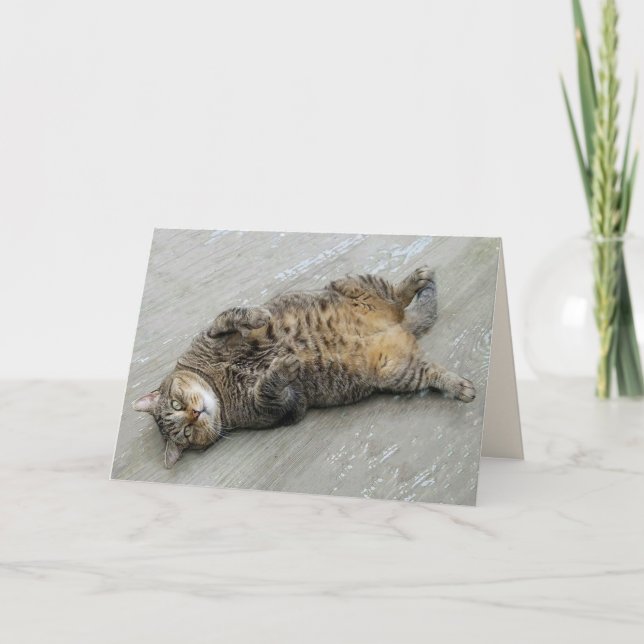 Carte d'anniversaire de chats super excités (Devant)