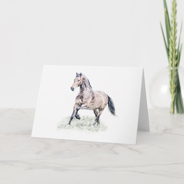 Carte d'anniversaire de cheval de Gallois D (Devant)