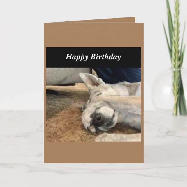 Carte d'anniversaire de chien (Devant)