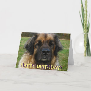 Carte d'anniversaire de chien de Leonberger