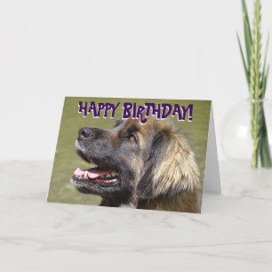 Carte d'anniversaire de chien de Leonberger