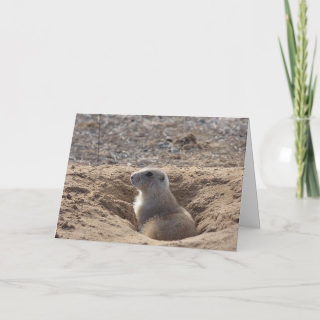 Carte d'anniversaire de chien de prairie (Devant)