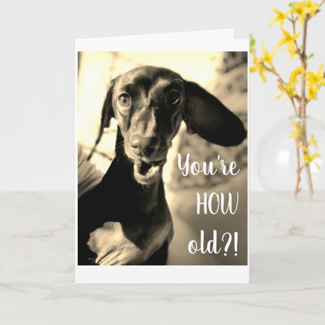 Carte d'anniversaire de chien de saucisse drôle (Fleur jaune)