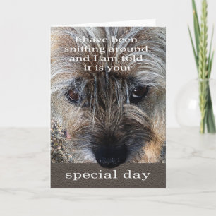 Carte d'anniversaire de chien de Terrier de