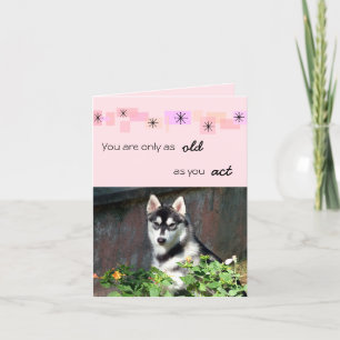 Carte d'anniversaire de chien de traîneau sibérien