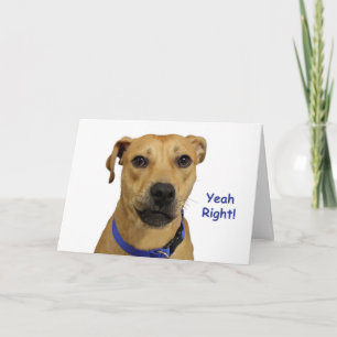 Carte d'anniversaire de chien droit