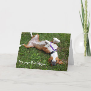 Carte d'anniversaire de chien drôle