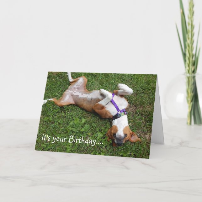 Carte d'anniversaire de chien drôle (Devant)