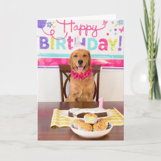 Carte d'anniversaire de chien drôle (Devant)