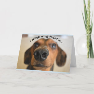 Carte d'anniversaire de chien drôle
