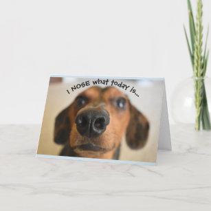 Invitations Faire Part Cartes D Humour Chien Joyeux Anniversaire Zazzle Ca