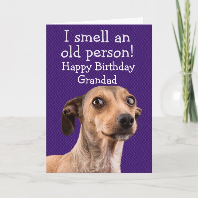 Carte d'anniversaire de chien drôle (Devant)