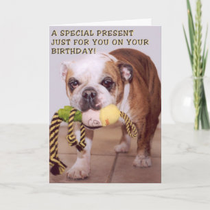 Carte d'anniversaire de chien taureau