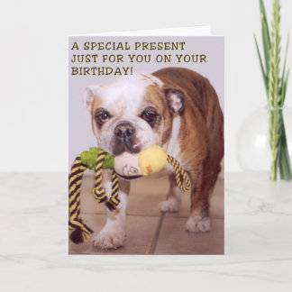 Carte d'anniversaire de chien taureau