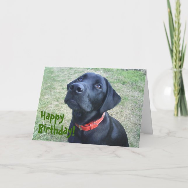 Carte d'anniversaire de chienchien ! (Devant)