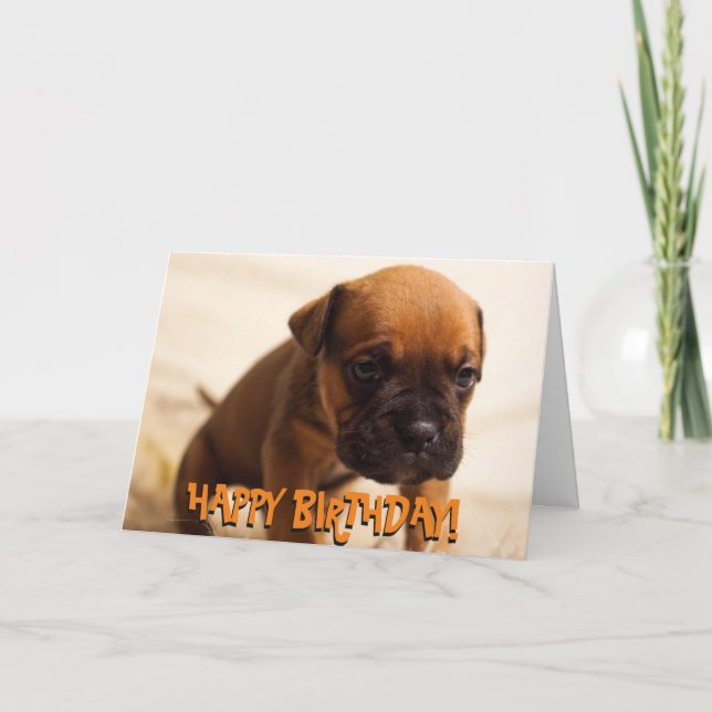 Carte d'anniversaire de chiot boxer mignonne (Devant)