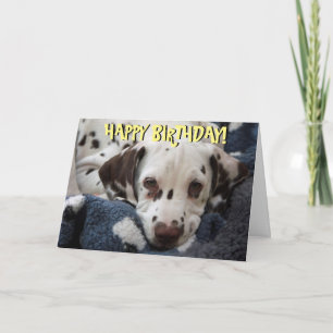 Carte d'anniversaire de chiot dalmate mignonne