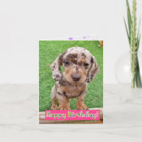 Carte d'anniversaire de Chiot de Dachshund