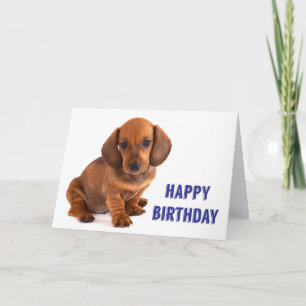 Carte d'anniversaire de Chiot de Dachshund