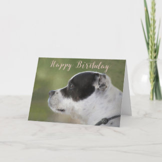 Carte d'anniversaire de chiot de Staffie
