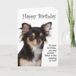 Invitations Faire Part Cartes Anniversaire Chiwawa Zazzle Ca