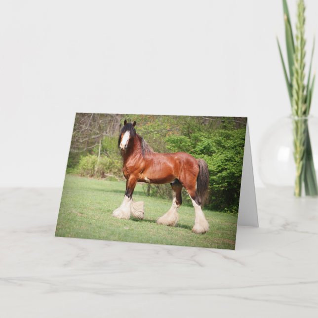 Carte d'anniversaire de Clydesdale (Devant)