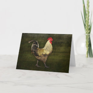 Carte d'anniversaire de cocorico