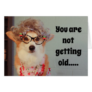 Carte d'anniversaire de corgi