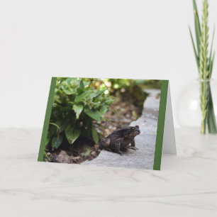 carte d'anniversaire de crapaud