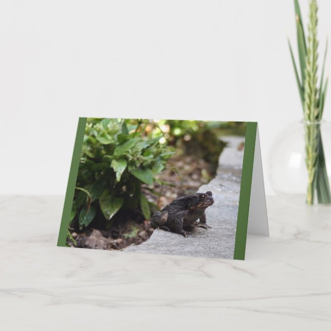 carte d'anniversaire de crapaud (Devant)