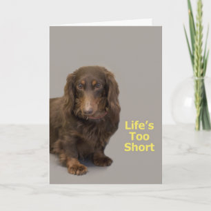 Carte d'anniversaire de Dachshund