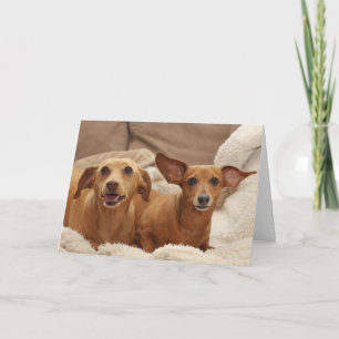 Carte d'anniversaire de Dachshund par thème pour u