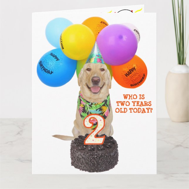 Carte d'anniversaire de deux ans pour animal domes (Devant)