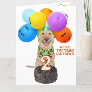 Carte d'anniversaire de deux ans pour animal domes