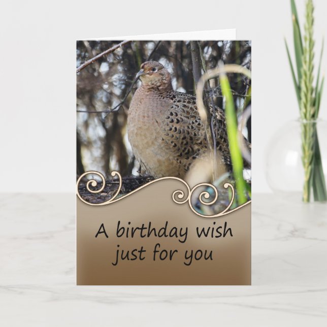 Carte d'anniversaire de faisan - carte (Devant)