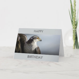 Carte d'anniversaire de faucon pérégrin