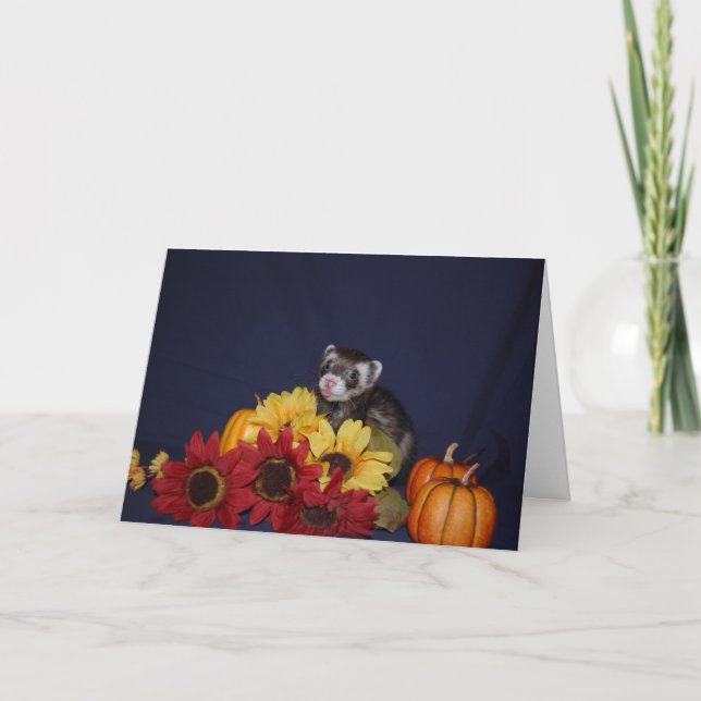 Carte d'anniversaire de furet (Devant)