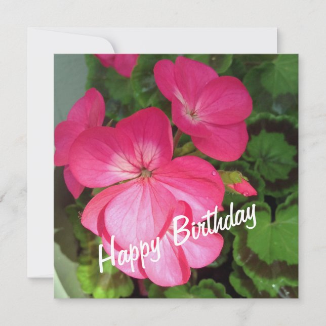Carte d'anniversaire de géranium rose (Devant)