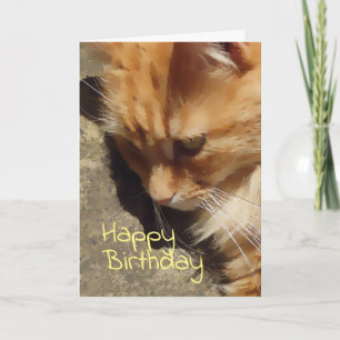 Carte d'anniversaire de Ginger cat