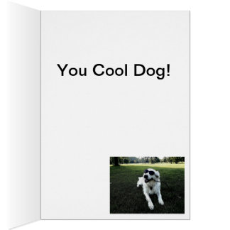 Carte d'anniversaire de golden retriever