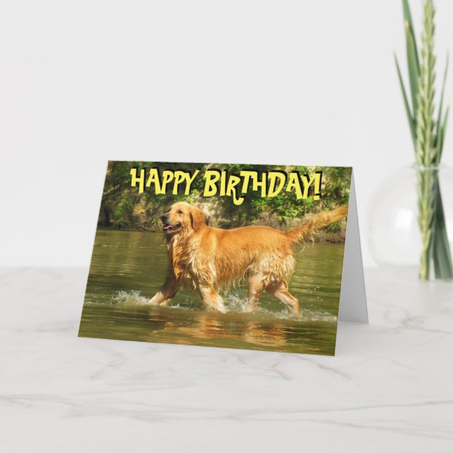 Carte d'anniversaire de Golden retriever (Devant)