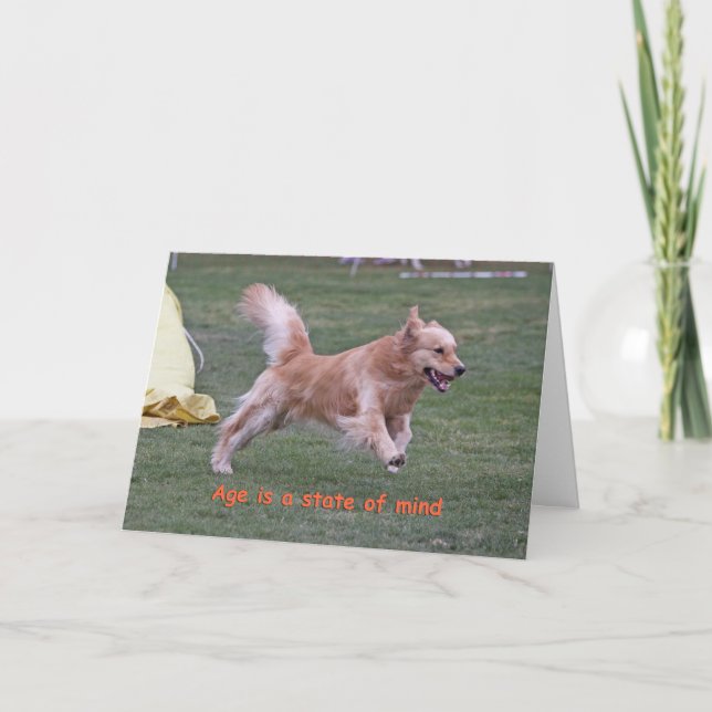 Carte d'anniversaire de golden retriever 'Age (Devant)