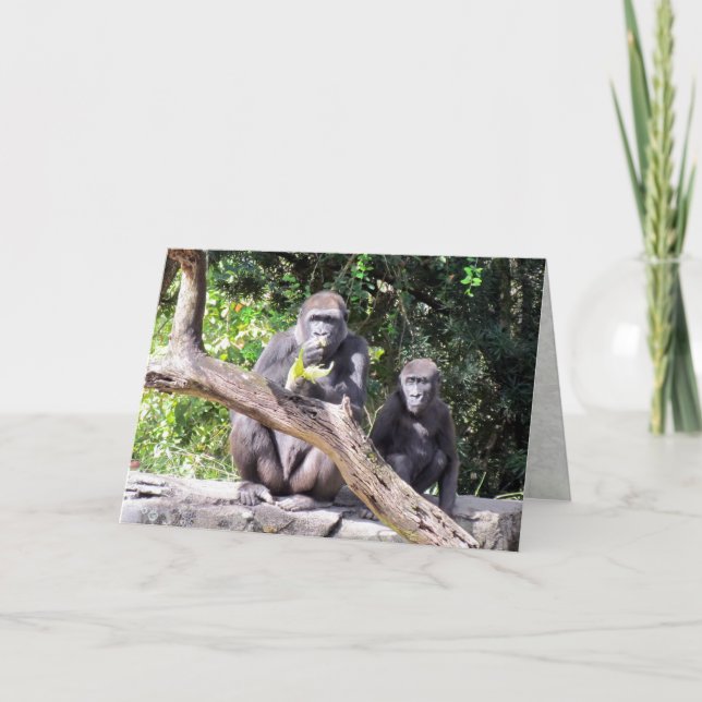 Carte d'anniversaire de Gorilla (Devant)