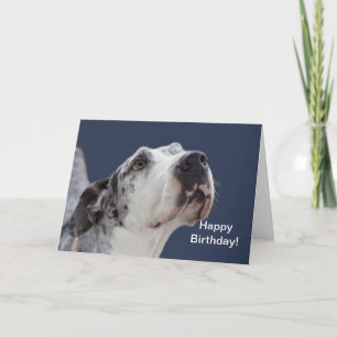 Carte d'anniversaire de great dane
