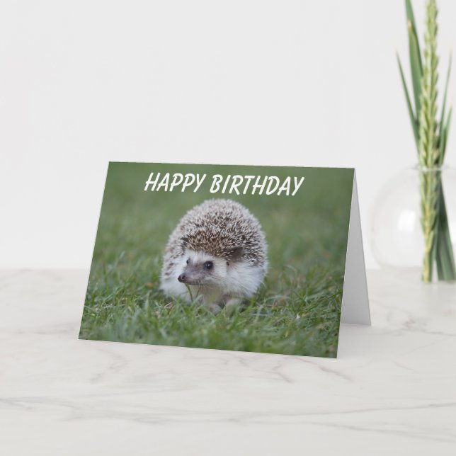 carte d'anniversaire de hérisson (Devant)