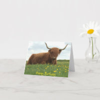 Carte d'anniversaire de Highland Cow Meadow