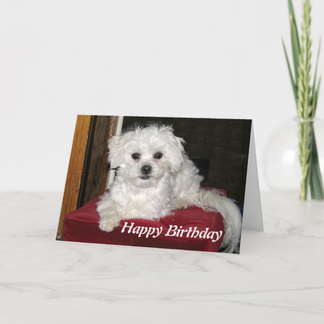 Carte d'anniversaire de Honey (Devant)