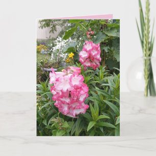 Carte d'anniversaire de Jardin de fleurs roses Pen