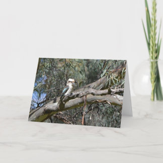 Carte d'anniversaire de Kookaburra