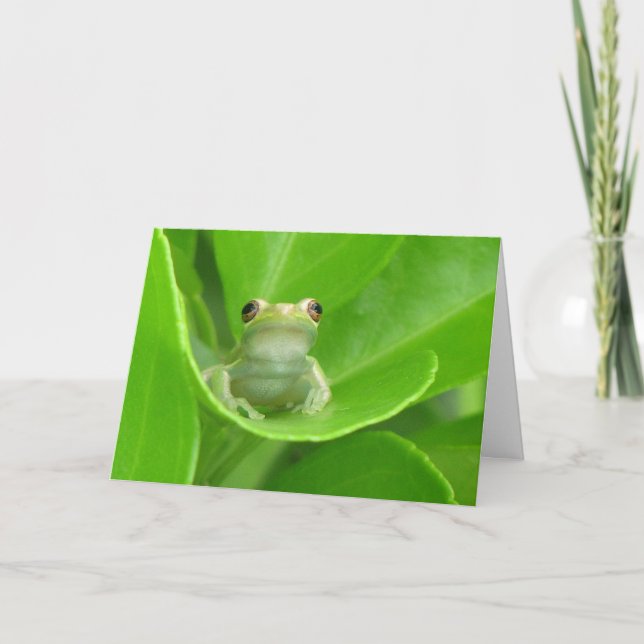 Carte d'anniversaire de la grenouille à arbre (Devant)